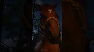 Excuse me brah..🤨 RDR2 | Промокод DVA | REDWest RP