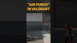 Valorant Tips #20 - Aim Punch