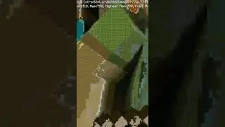 #steve