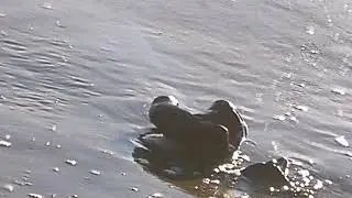 Экклезиаст. 4 глава
