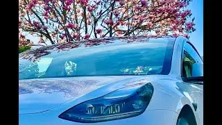 My 2021 Tesla Model 3 Performance After two Years - Still MINT! #tesla #model 3 #performance