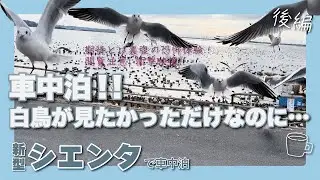 【後編】白鳥を見る為に白鳥の里へ！なんでこんなことに…　恐怖体験！！衝撃映像！！！閲覧注意！！！！