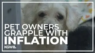 Pet owners feel impact of inflation