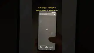 Чёрно-белый экран телефона