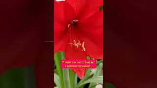 Учимся творить чудеса! 