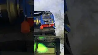 Здесь рыбы нет(((