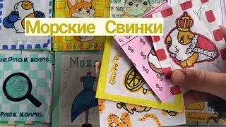 🐹Бумажние Сюрпризи💗Морские Свинки🌈Angela Like😚