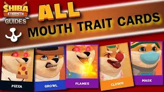 SHIBA ETERNITY Mouth Traits All Cards slideshow HD