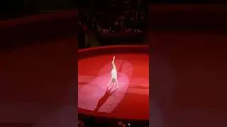 Гетнер 🤸