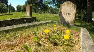 Allgood News 6-19-24 Masons Clean up Cemetery.