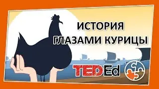 🔶 История глазами курицы [TED-Ed на русском]