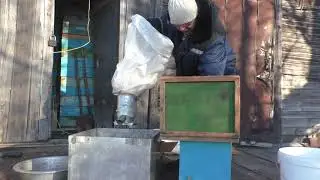 Дробления перговых сотов.