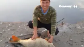 Сазан . 20 кг. sazan . 20 kg.