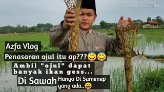 Azfa Vlog tahun baru - Angkis Ojul di sawah dapat ikan banyak.Hanya ada di sumenep