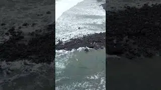 San blas La Libertad El Salvador