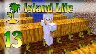 Minecraft Island Life - Ep. 13 - How Fortunate!