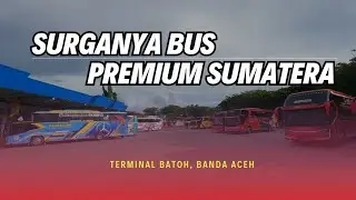 HUNTING BUS SORE DITERMINAL BATOH || PARKIRAN BELAKANG ADIPUTRO DAN LAKSANA ‼️