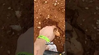 So much to find not enough time!