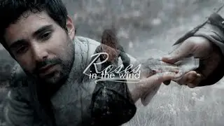 alicent & criston  || roses in the wind