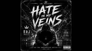 HATE IN MY VEINS 💀 | sRJ Present | The Underrated Artist | Official Audio 