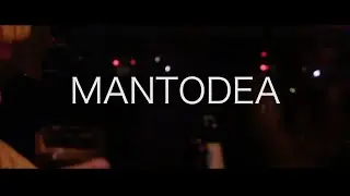 MANTODEA   Ravil Valiev mood video