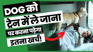 Are Pets Allowed in Indian Railways | How to Book Tickets for Dog in Trains | Booking Online Tickets