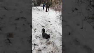 Богд уул өлссөн хэрэм
