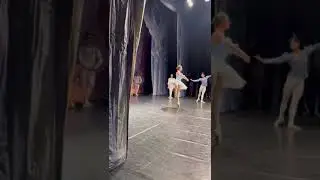 Кода из балета(Спящая красавица) 02.11.2022