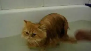 bath time