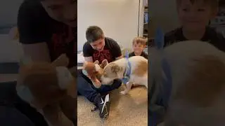 Throwback: Getting Sammy A New Teddy Bear