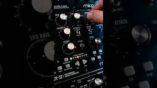 moog mother32 acid techno