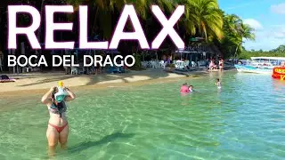 BOCA DEL DRAGO - ISLA COLON