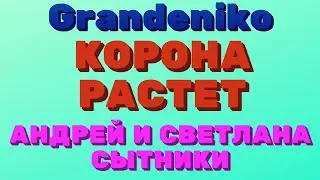 Grandeniko, Сытники и Самвел Адамян. Действительно НЛО. Корона РАСТЕТ. | Правдивая Ольга