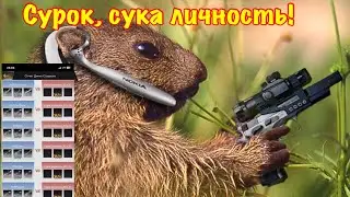 The Ants! Месть сурков!