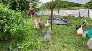 Жизнь деревенская)