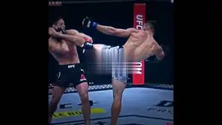 UFC