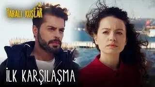 İlk Karşılaşma | Yaralı Kuşlar 1. Bölüm