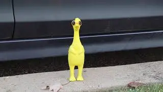 Mr Chimcken November 1, 2023