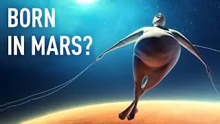 Your Body Would Be Totally Different on Other Planets