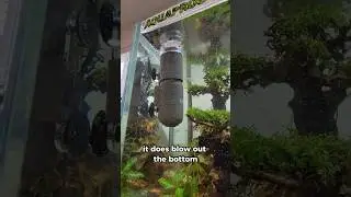Keep Your Aquarium SUPER Clean With This!