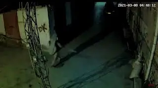 Car thief caught red handed stolen my car battery cctv footage