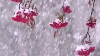 Воздух, авт  Редозубова Н, чит  В Алёшин, ред.Л.Михеева.