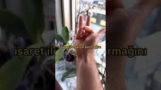 Bunu yapabilir misiniz?