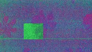 Static Glitch Floral Distortion Screen 2 Hour Visual No Audio