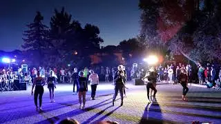 Будни, день города Бахмут 2020, животные