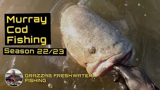 Murray Cod Fishing Videos - Season 2022/2023 Highlights