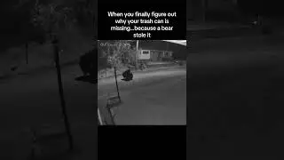 A bear stole my trash can!