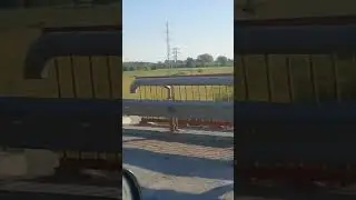 Дорога домой, 