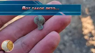 1006 / Вот такое лето / Коп в полях