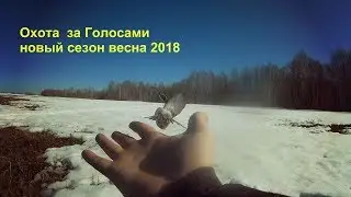 Охота за Голосами -  Анонс 2018